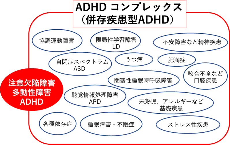 ADHD コンプレックス（併存疾患型ADHD）